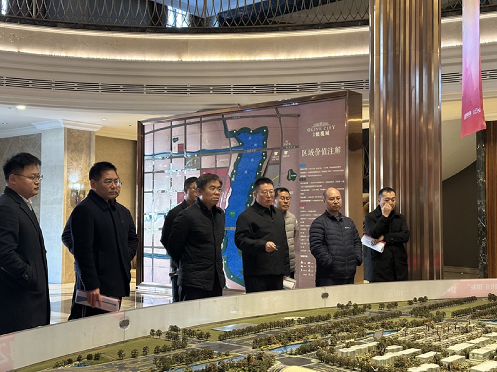 黨委書記、董事長汪洋調(diào)研開封項目并指導(dǎo)經(jīng)營發(fā)展工作